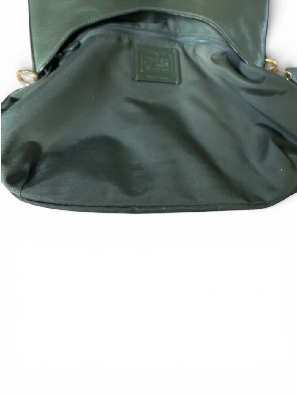 COACH Amber Pebble and Exotic Leather Hobo Shoulder Bag in Ivy